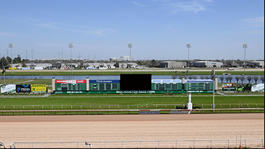 The Infield